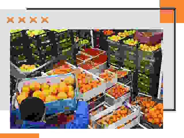 Перевозка скоропортящихся продуктов в Нижнекамске